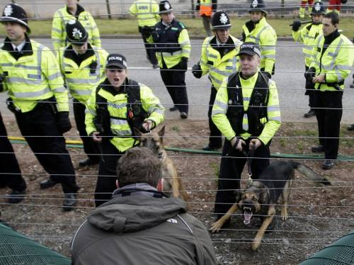 Cane poliziotto inglese fotografato durante un'esercitazione