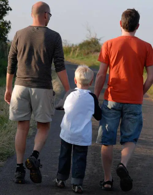 Gay e "omogenitori" Il lessico ipocrita imposto per legge