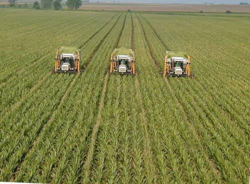 Così la burocrazia sta uccidendo l'agricoltura