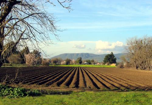 L'allarme degli agricoltori: "Torna l'Imu? Per noi è finita"