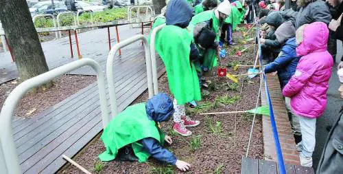 Il Comune è rimasto al verde «Aiuole? Ci pensino i privati»