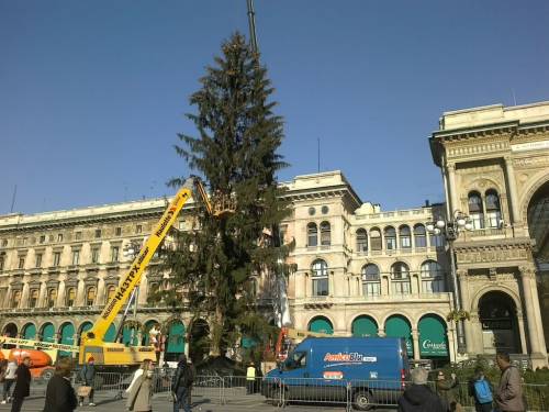 Milano, è arrivato l'albero di Natale in Piazza Duomo