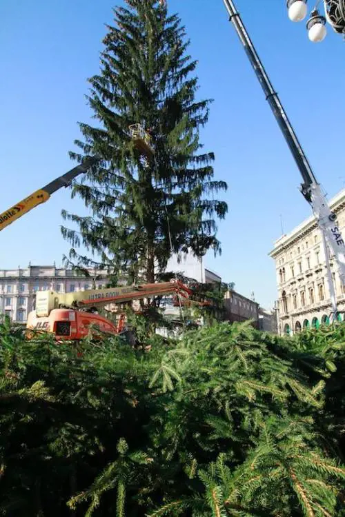 Crisi, meno spese per il Natale
