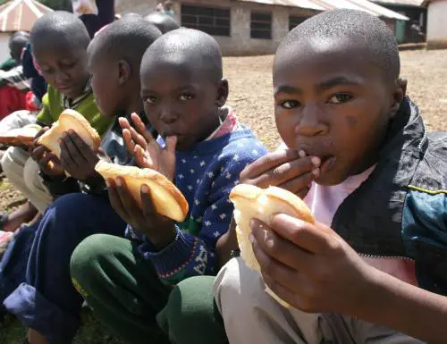 È la vera solidarietà a nutrire la vita