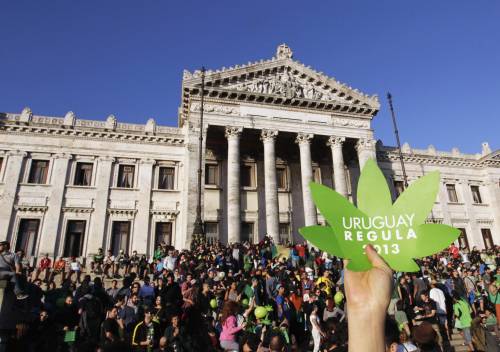 Uruguay diventa il primo paese con la marijuana di Stato