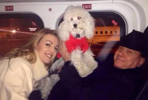 Fi, in Calabria nasce il Club dedicato a Dudù