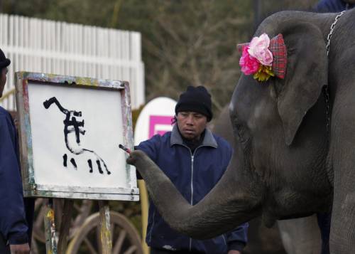 Yumeka, l'elefante pittore