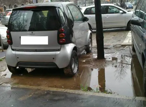Stop alla sosta tra gli alberi «I viali sono come parchi»