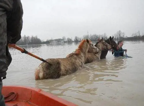 Vittime, danni e sfollati Dall'alluvione arriva un bollettino di guerra
