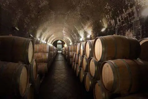 Spese pazze a Cambridge: 3 milioni di sterline in vini pregiati, mentre aumentano le rette
