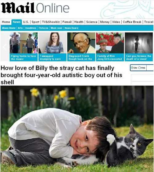 Il bambino autistico rinato grazie a un gattino randagio