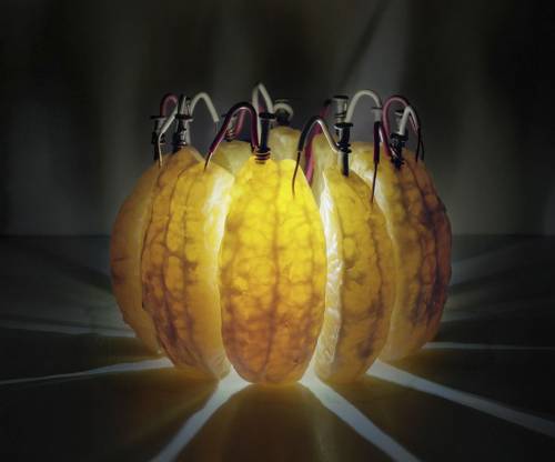 Quando è la frutta ad accendere la lampadina
