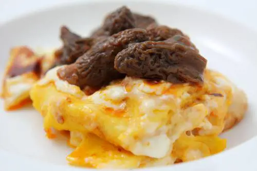 Tortellini di pollo, ira di Federcuochi: "Per noi è sacro"