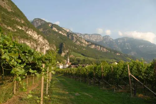 Dopo il "no" degli scienziati la Camera blocca l'agricoltura biodinamica