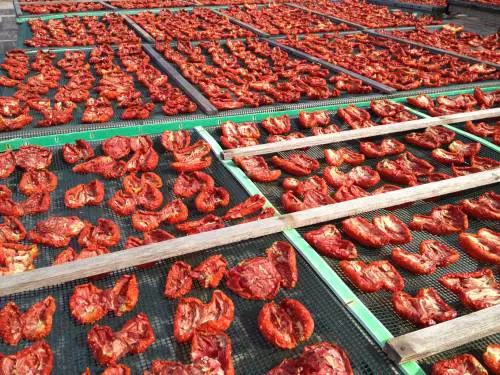 Nel cuore di Pantelleria, alla ricerca delle antiche produzioni locali