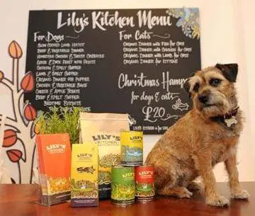 Ecco i ristoranti stellati per cani e gatti buongustai