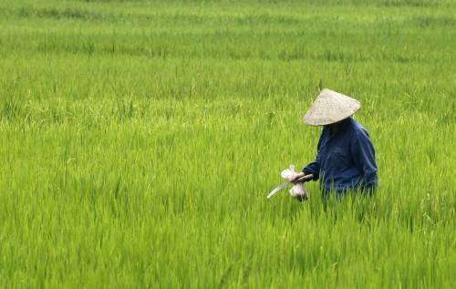 Vietnam, il lungo dopoguerra fra motorini e multinazionali
