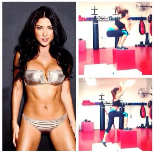 Arianny Celeste, pugilessa e modella