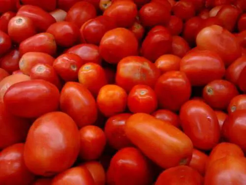 L'Italia ospiterà il Congresso mondiale del Pomodoro