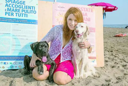 "Grazie a noi basta canili lager. Berlusconi? Adora gli animali"