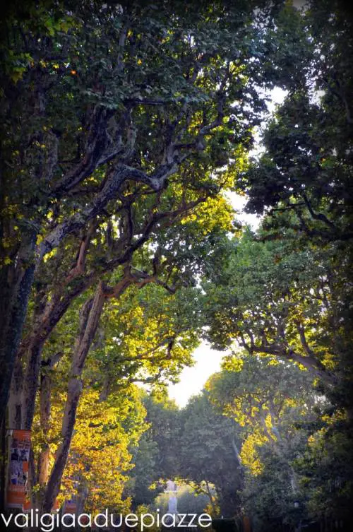 Viaggio in Provenza, ad Aix-en-Provence in #4idee