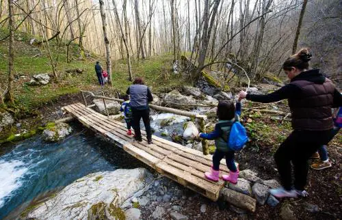 Tutti i giorni un'ora nel bosco per andare a scuola coi nonni