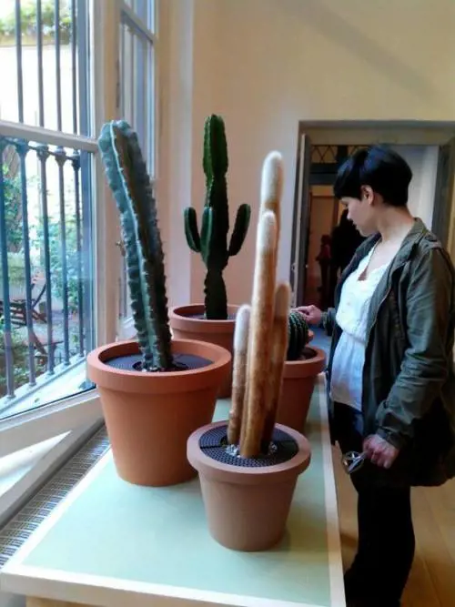 Cactus e cucchiaini viventi: quando gli oggetti si animano