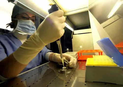 Fecondazione eterologa, c'è il primo documento delle regioni