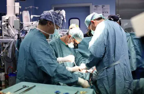 Milano capitale mondiale della "penoplastica"