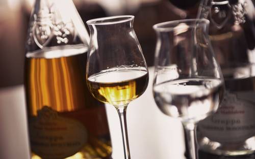 Grappa: come è diventata un distillato di pregio?