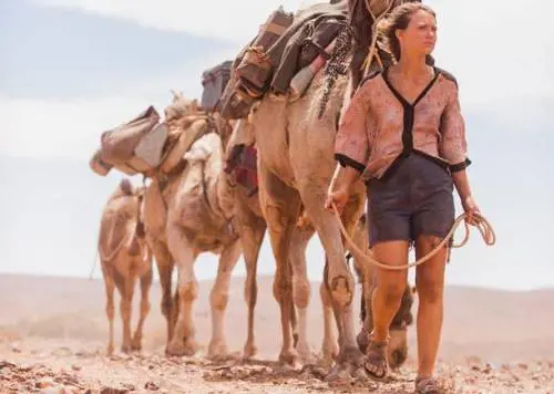 2014, fuga dai «social» Il cinema esalta gli eroi soli (e positivi)