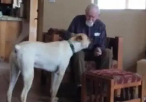 Nuove armi anti Alzheimer un gene e un videogame