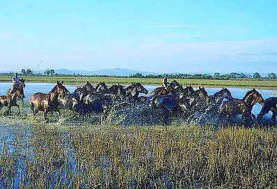 Vino e cavallo Tre giorni di relax nella Maremma
