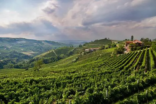Oltrepò pavese: 1000 anni di tradizione al servizio del vino d’eccellenza 