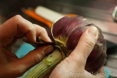 Buona cucina e mangiar bene nelle ricette di Aromifragolosi