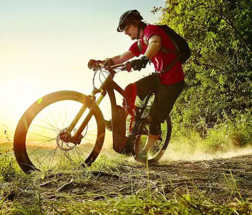 Una bici elettrica per muoversi in città e per il trekking