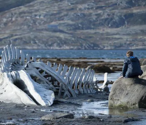 Una settimana al cinema col meglio dalla Croisette