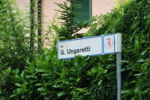 Sgozzati in casa