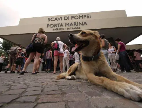 Turisti sconsolati ieri a Pompei