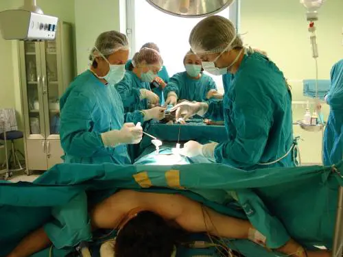 Riattivato il midollo spinale di una donna: ora può camminare 