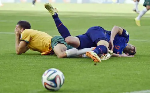 I canguri li calpestano. Ma i tulipani si rialzano 