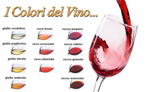 Tutti i colori del vino