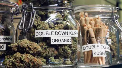 Colorado, i biscottini alla marijuana vanno a ruba pure tra i bimbi