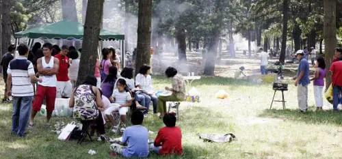 Alcol e risse nei parchi. E noi puliamo