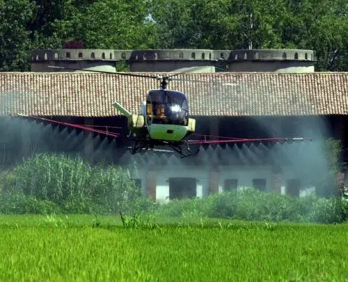 Sulle risaie dell'hinterland il Comune interviene in vista del caldo estivo