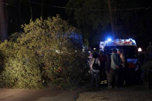 Il grosso ramo staccatosi da un albero che ha colpito una donna di 51 anni nel parco delle Cascine a Firenze