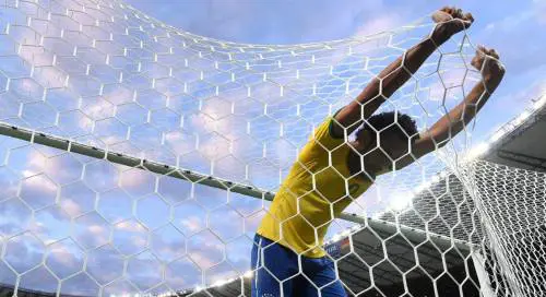 Fernandinho aggrappato alla rete