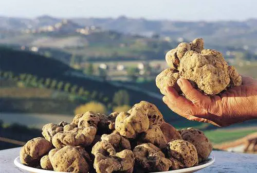 Patrimonio Immateriale Unesco, candidati tartufo e Perdonanza Celestiniana