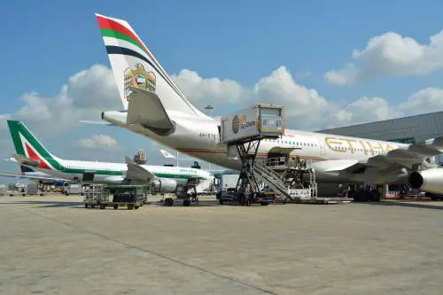 Alitalia, c'è il "sì" di Etihad: nasce la nuova compagnia aerea 
