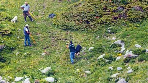 Massacrarono il cane con pietre e bastoni: denunciati i due allevatori